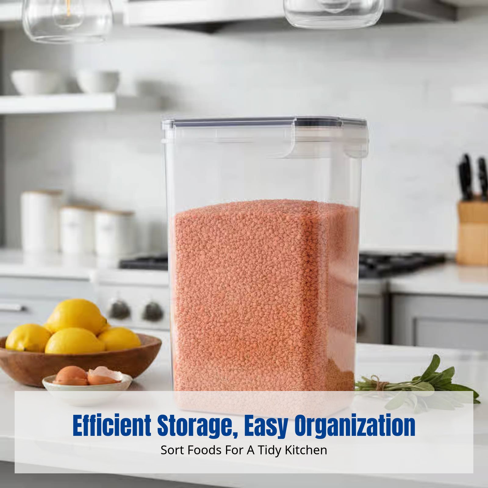 Airtight Food Storage Containe - Food Storage For Refrigerator review and price