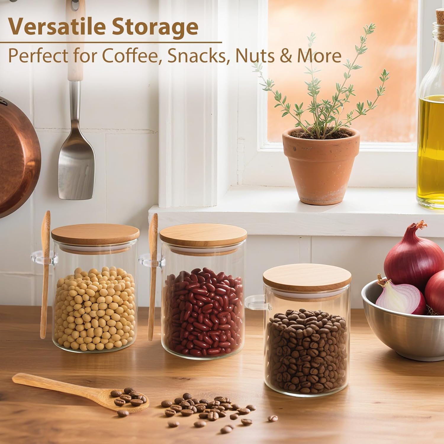 6 Pack Overnight Oats Containe - Glass Meal Prep Container review and price