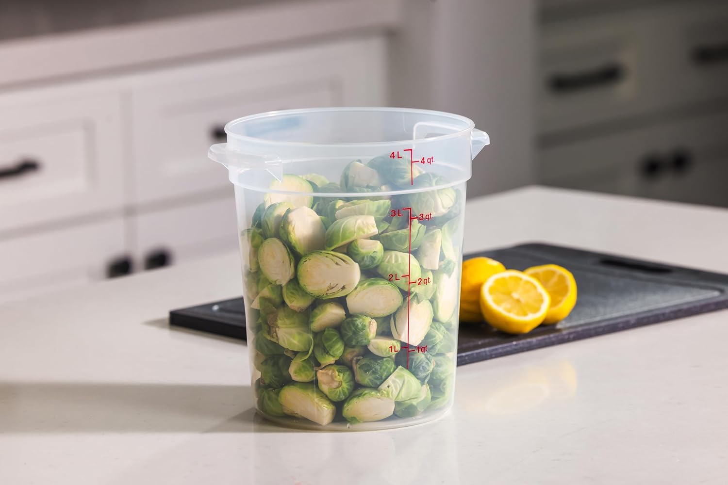 4 Quart Food Storage Container - Food Storage Quart Containers review and price