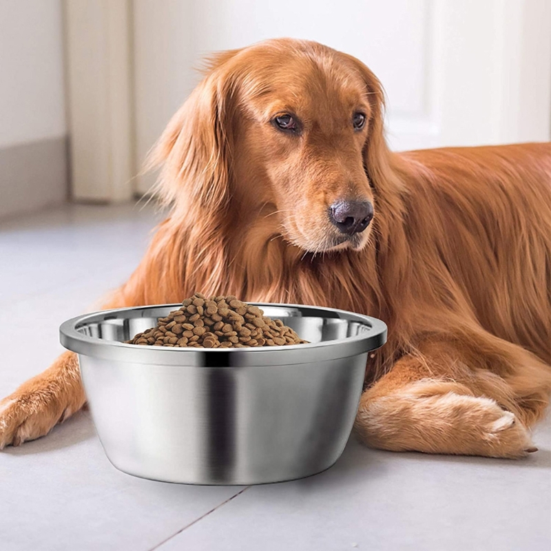 Anti-tip Dog Bowls Stainless S - Storage Tips For Food review and price