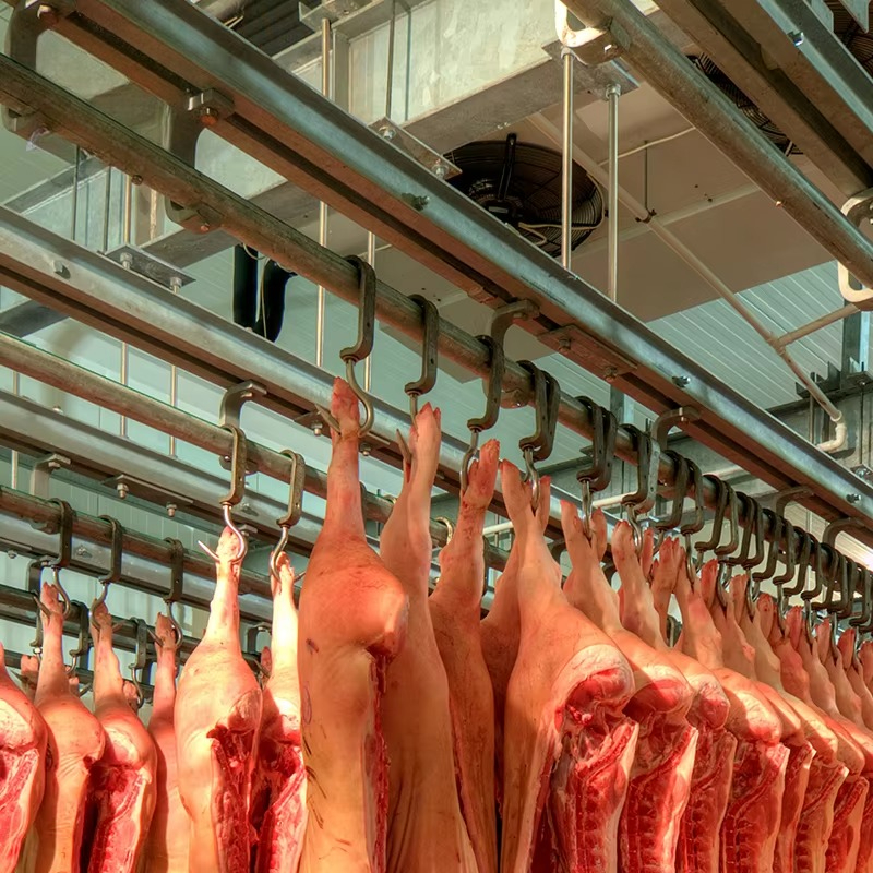 Cold Storage Room Slaughter Ho - Food Storage For Refrigerator review and price