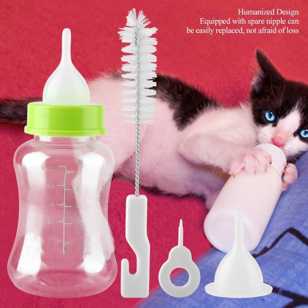 4pcs/ Set 150ml Capacity Pet F - Storage Tips For Food review and price