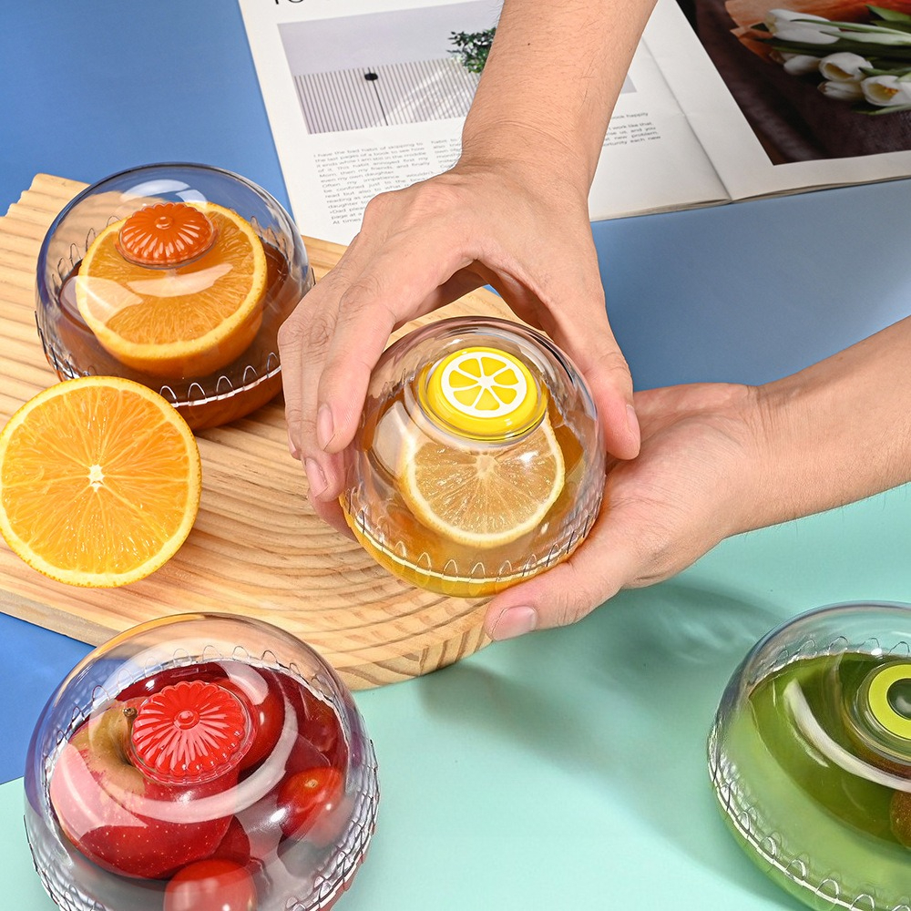 Vegetable Fruits Airtight Cris - Food Storage For Refrigerator review and price